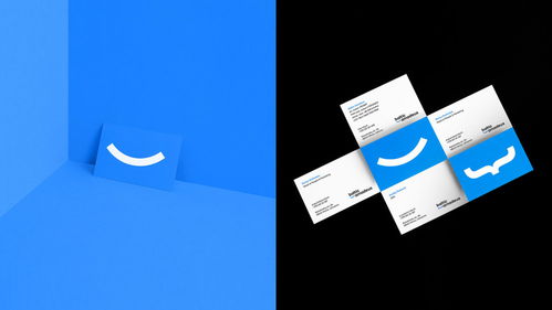 數(shù)字時代的匠心融合 Baltic Amadeus 定制軟件開發(fā)公司品牌形象設(shè)計解析