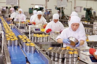 淮北貝寶食品全力投入黃桃罐頭生產(chǎn)，保障市場(chǎng)供應(yīng)與品質(zhì)